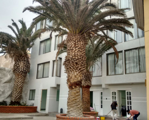 2016 Bendición Casa Formación Iqq